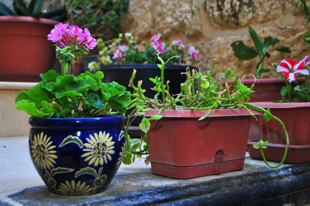 Holiday home Dar Ghax-xemx Victoria
